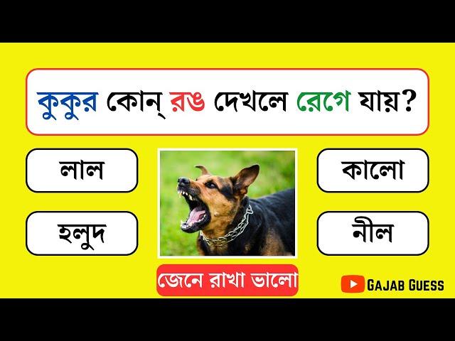 কুকুর কোন্‌ রঙ দেখলে রেগে যায় ||  Gk questions Bangla || Bangla Quiz || Gajab Guess