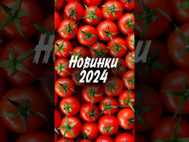 НОВИНКИ ОТ СЕМКО на СЕЗОН 2024. СЕМЕНА ОГУРЦОВ, ПЕРЦЕВ и ТОМАТОВ #shorts