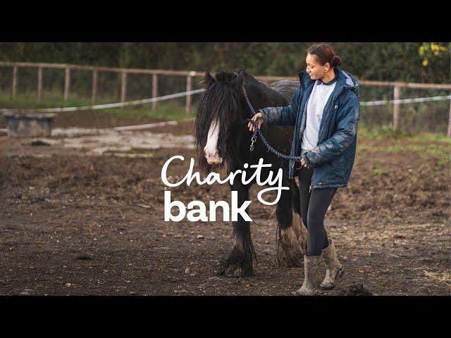 Supporting young people with equine therapy – Strength and Learning Through Horses | Charity Bank