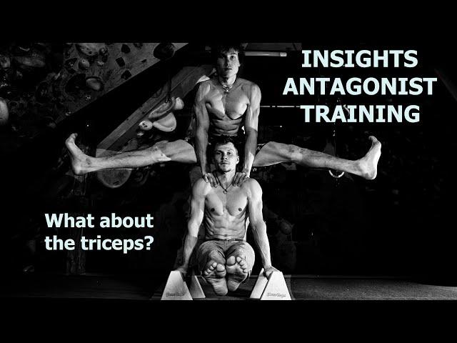 INSIGHTS ANTAGONIST TRAINING FOR CLIMBERS | What about the triceps?