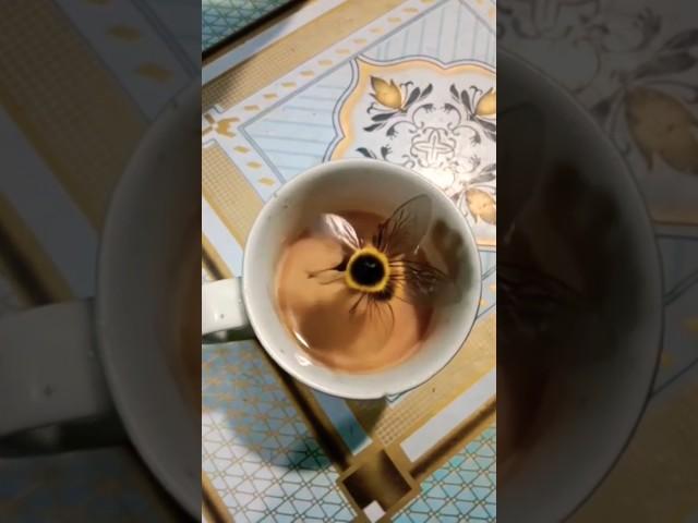 Magic bee in tea cup #bee #honey #tea