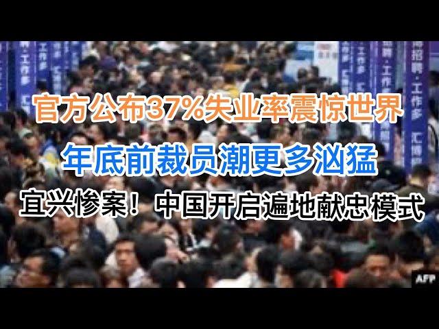 官方公布37%失业率震惊世界!年底前裁员潮更加凶猛！宜兴惨案背后，中国开启遍地献忠模式！(20241119第1311期)