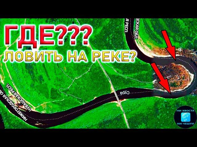 ГДЕ ЛОВИТЬ НА РЕКЕ НА ФИДЕР?!СЕКРЕТЫ поиска места для рыбалки и поиск точки ловли