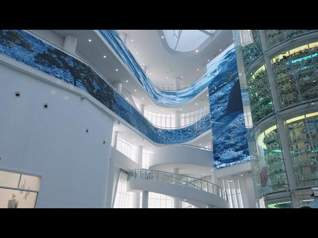 국립해양생물자원관 씨큐리움 | SeaQrium