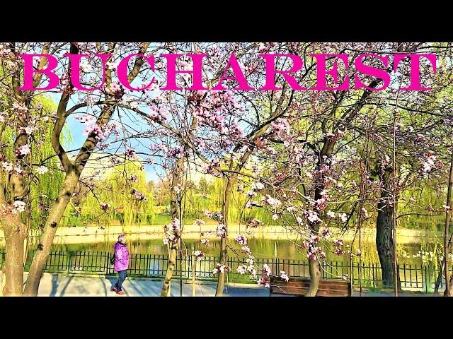 Springtime in Bucharest, Romania | The Most Beautiful Parks of Bucharest in Spring: Morarilor Park