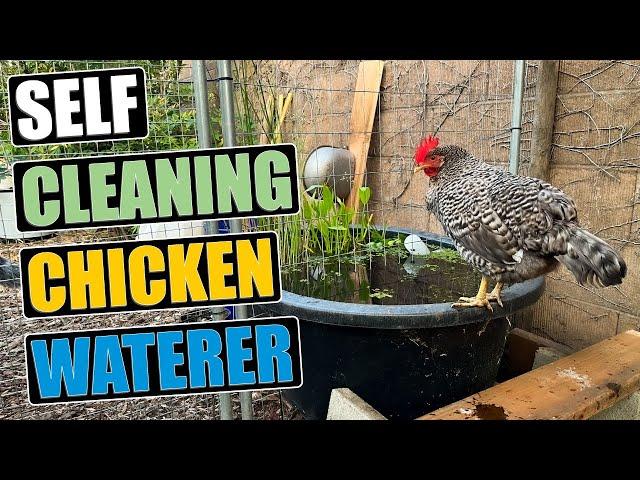 Self Cleaning Chicken Waterer