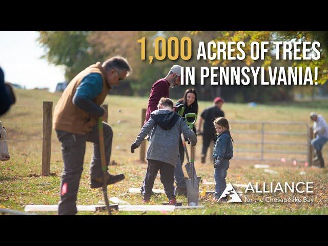 The Forests Program Plants Over 1,000 Acres of Buffer in PA