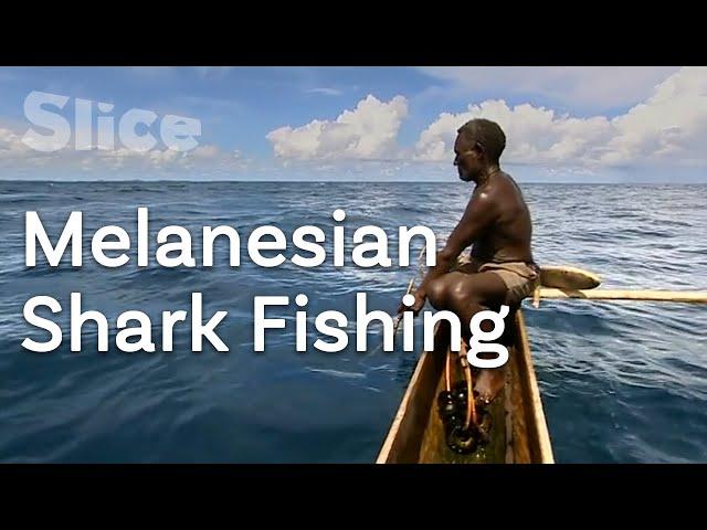 Bare-handed shark fishing | SLICE