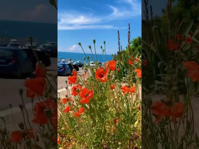 #анапа Планы на лето/Большой Утриш/Анапа