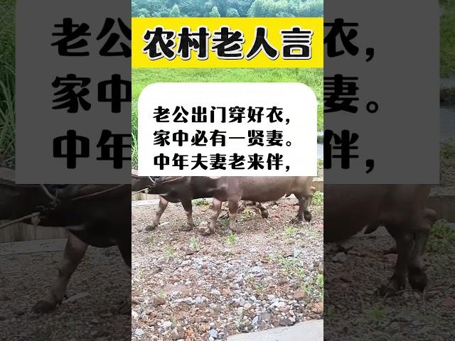 农村老人言。 #生活小常识 #传统文化 #国学智慧 #夫妻相处之道