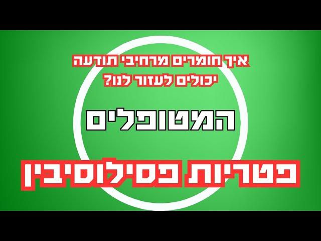 פרק27 - פטריות פסילוסיבין