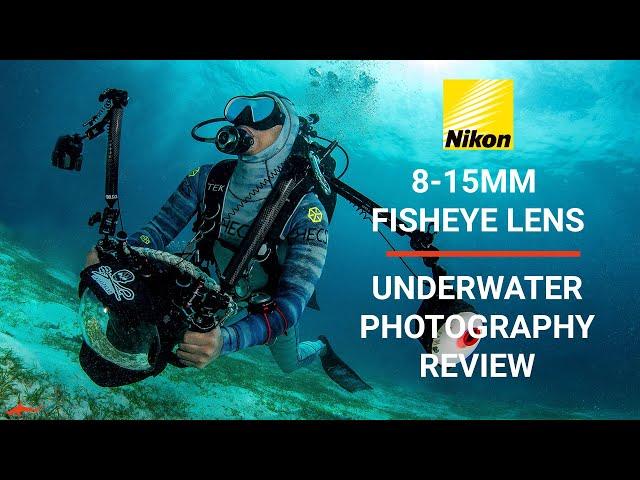 Nikon 8-15mm Fisheye Retrospective Review // Underwater Wildlife Photography