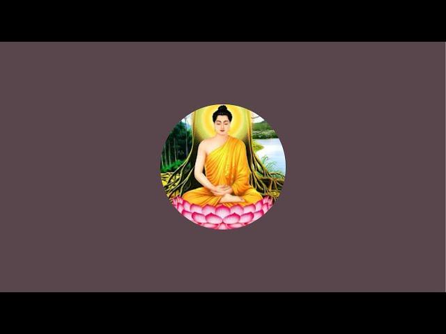 Cuộc sống Mỹ channel 64  is live!