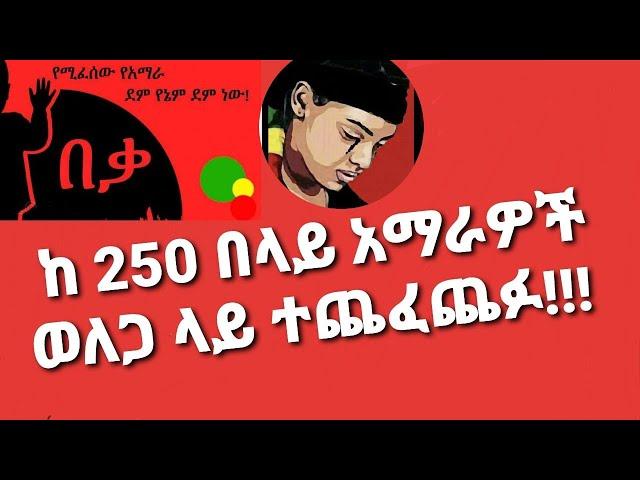 ሰበር ዜና - በኦሮሚያ ክልል ምእራብ ወለጋ ከ 250 በላይ አማራዎች ተጨፈጨፉ Ethiopia - 250+ Amhara in Wolega Oromia