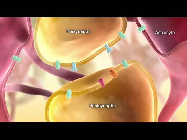 Schizophrenia Part 1 of 4 - Medical Animation by Watermark