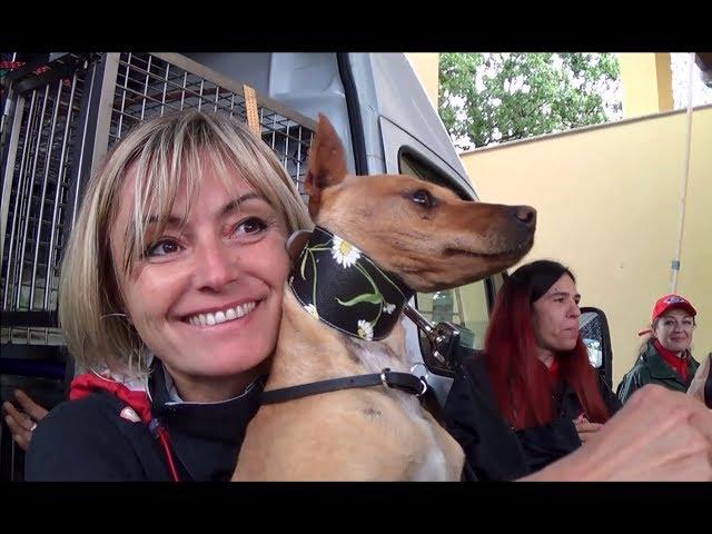 GACI - 18 Maggio 2019 arrivo Galgo