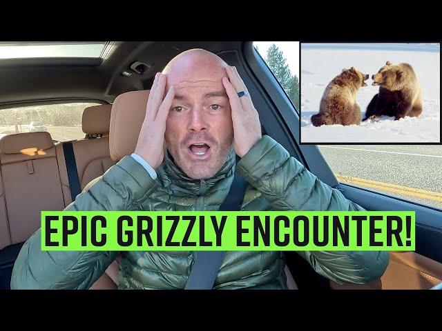 Photographing an Epic Grizzly Bear Scene In The Tetons - A Wildlife Photography Vlog