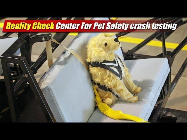 Reality Check: Center For Pet Safety crash testing