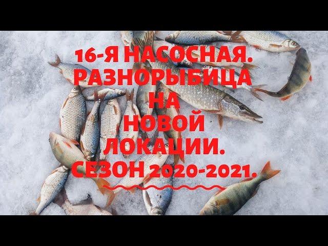 Безмотылка. 16-я насосная. Поиск новых локаций.