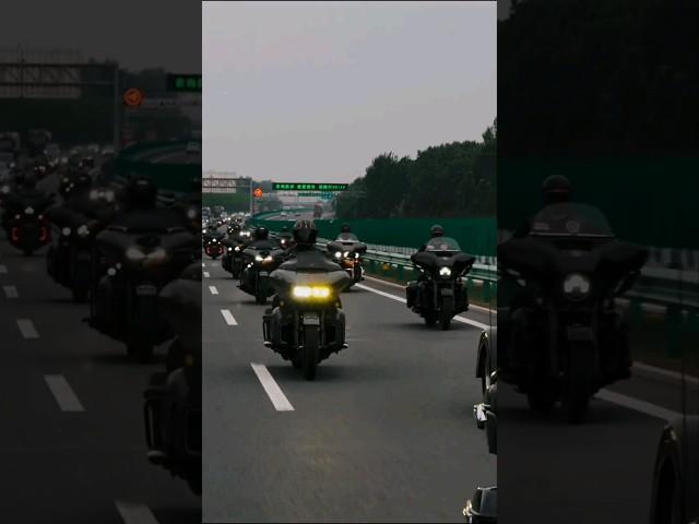 Harley-Davidson 단체라이딩. @shadow-kr.️