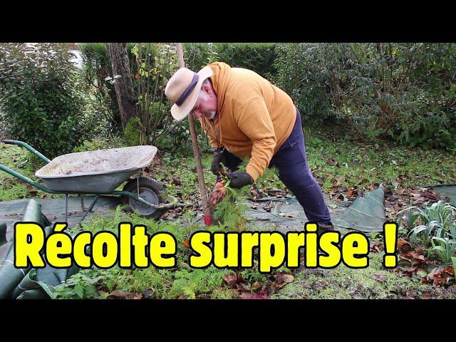 Quelles surprises mon potager me réserve-t-il après le dégel?