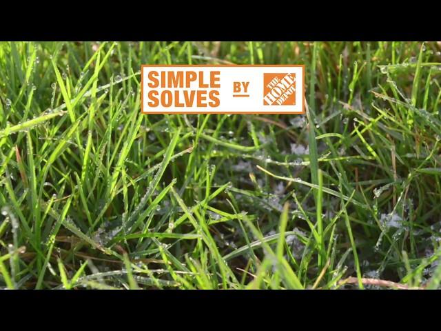 Lawn Care Made Simple | The Home Depot Canada