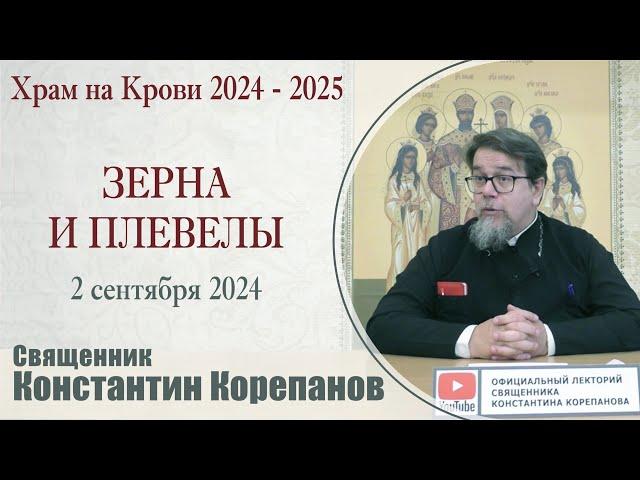 Зерна и плевелы. Беседа священника Константина Корепанова (2.09.2024)