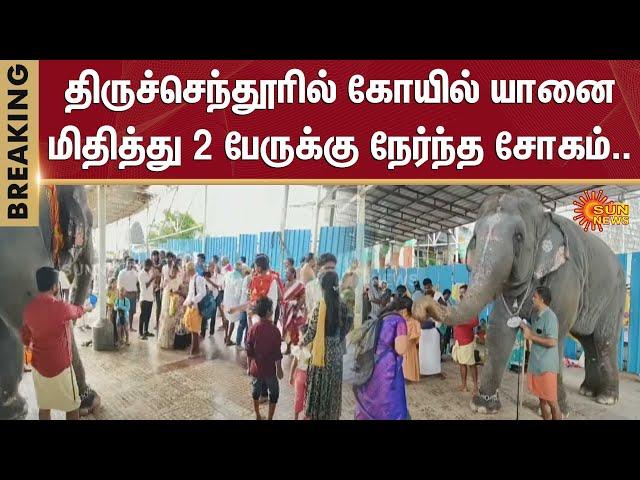 Thiruchendur Elephant Incident | Tamil Nadu | Thiruchendur Murugan temple | Sun News