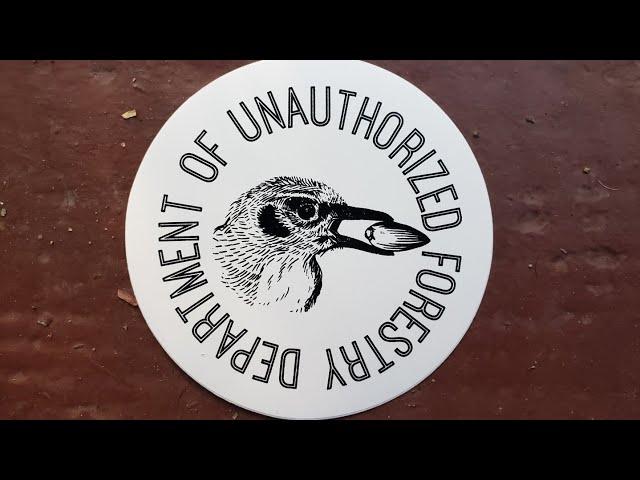 (#194) Tony Santoro's Guide to Illegal Tree-Planting