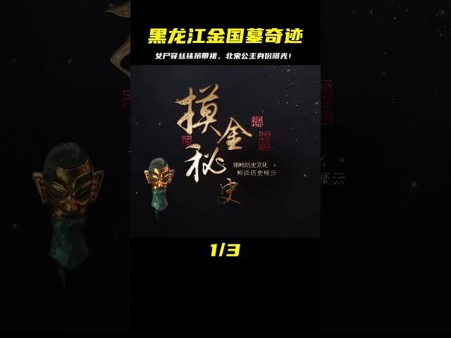 黑龍江挖出金國合葬墓，女墓主身穿絲襪吊帶裙，女子竟是北宋公主 #未解之谜 #考古 #历史 #奇闻 #探秘