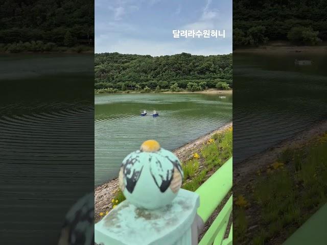 #수원광교산#광교저수지#상수원보호구역#아름다운수원 2025.6.5.목요일
