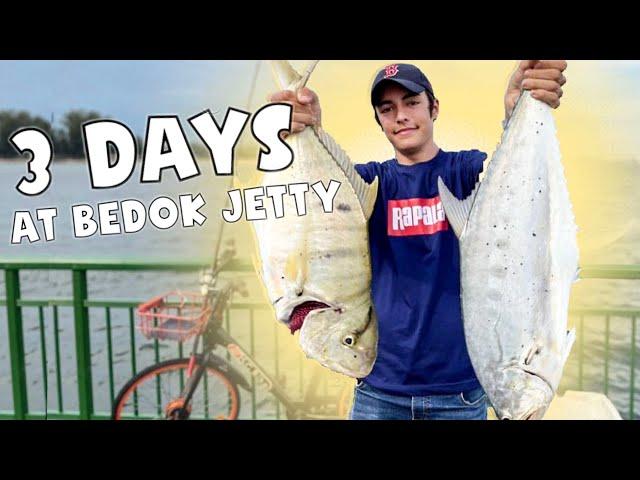 3 Days at Bedok Jetty | Catching HUGE Queenfish | Fishing in Singapore | Yumada Fishing