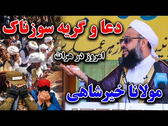 دعای پرسوز مولانا خیرشاهی حفظه الله و گریه مردم هرات