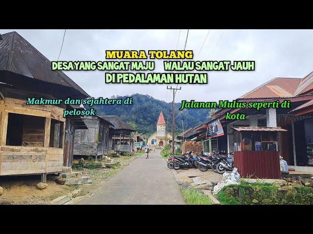 MUARA TOLANG‼️DESA YANG MAJU WALAU SANGAT JAUH DI PELOSOK HUTAN