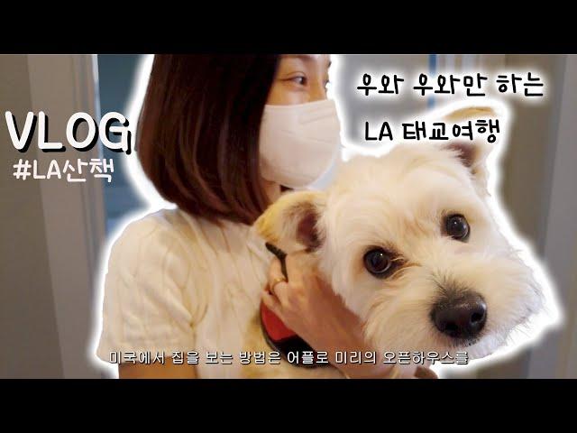 VLOG LA 부동산 여행인지 태교여행인지.. & 16주 임산부 LA 여행