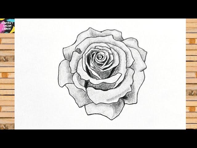 Easy Rose Drawing Tutorial | Step-by-Step Rose Sketch for Beginners