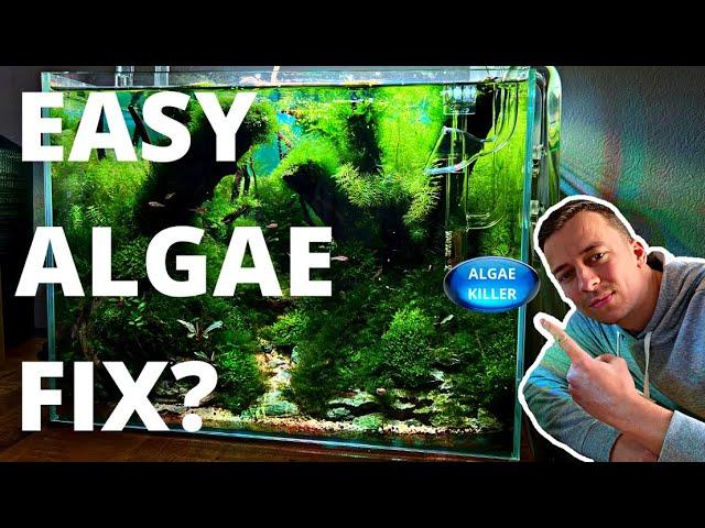 ALGAE TABLETS! DO THEY WORK? LET'S FIND OUT!