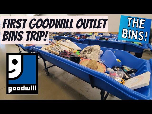 FIRST GOODWILL OUTLET (THE BINS) TRIP! | Kirby Rose