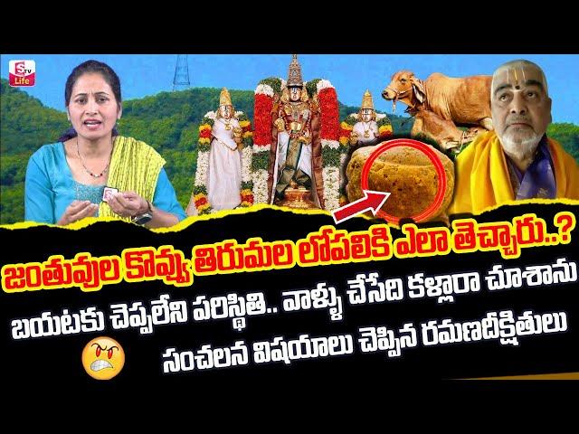 Ramana Deekshithulu Real Facts On Tirupati Laddu Issue | Tirumala News | SumanTV Life