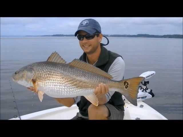 Experience Saltwater Fly Fishing & Light Tackle Fishing on Virginia's Chesapeake Bay.