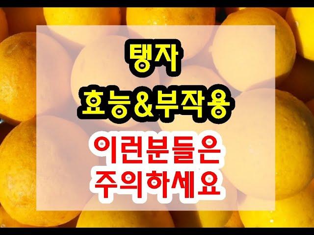 탱자 효능과 부작용 잘 알고 드셔야해요~