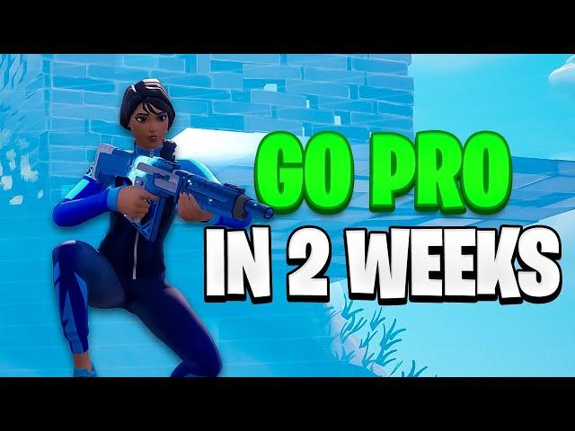 How to GO PRO in Under 2 Weeks (Chapter 5 Season 2)