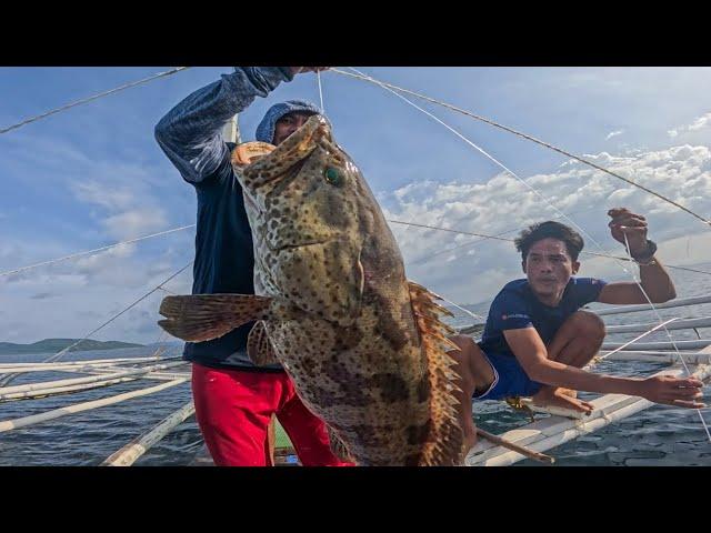 Unang Laot Sa Isla Namin Napasabak Agad Si Buchokoy Sa Malalaking Grouper