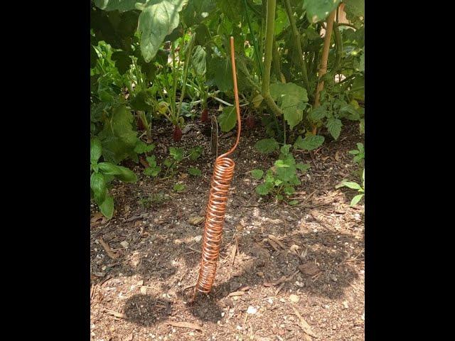 Electroculture Gardening