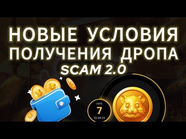 НОВЫЕ УСЛОВИЯ ДРОПА HAMSTER KOMBAT AIRDROP СКАМ 2.0 SCAM ЛИСТИНГ ХОМЯКА ХАМСТЕР КОМБАТ ДРОП ВЫВЕСТИ
