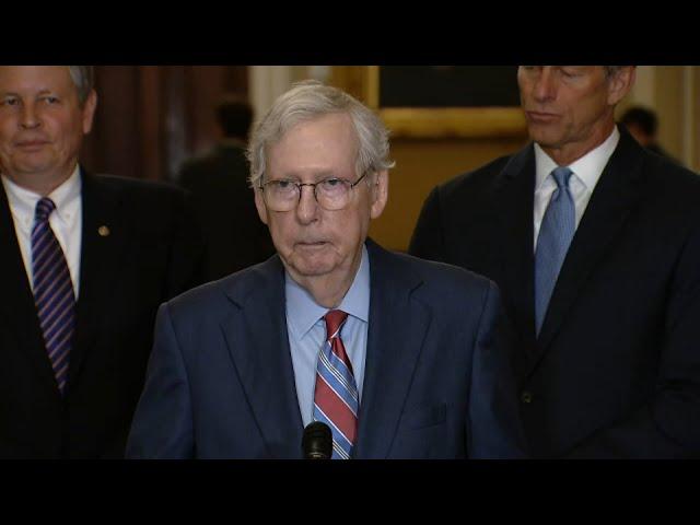 Sen. Mitch McConnell freezes during press conference