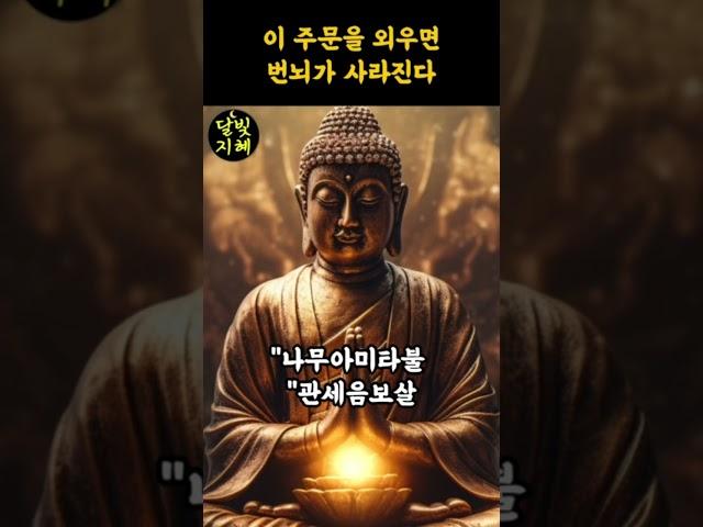 나무아미타불 관세음보살 번뇌가 사라지는 기도ㅣ불교명언ㅣ부처님말씀  #명언 #긍정의말 #좋은글