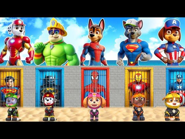 PAW Patrol CHALLENGE Choose Rescue Rubble From Prison By Become Spider-Man 5 Time Challenge