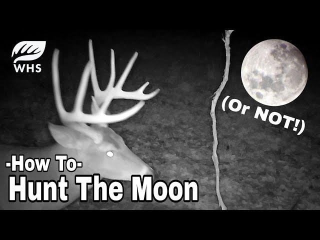 5 Ways To Deer Hunt A Full Moon