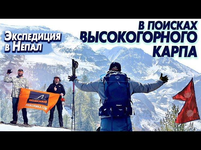 Где искать карпа? Экспедиция MINENKO TEAM в Непал.